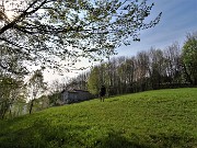 31 E sbuchiamo nei bei prati di Clino Basso